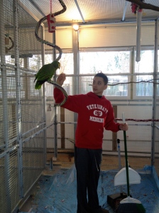 Austin (volunteer) reinforcing desired behavior while cleaning cages.